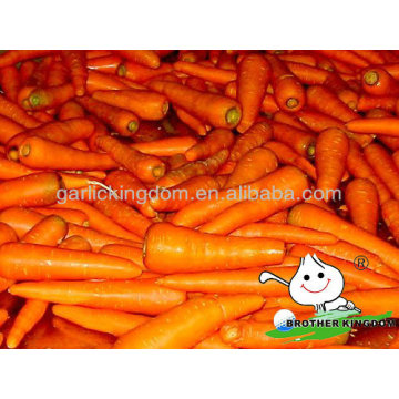 China Baby Carrot,New harvest fresh Carrot with Bright color